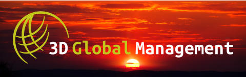 3D Global Management THEME LOGO (Sunset)