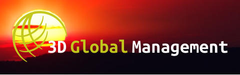3D Global Management THEME LOGO (Sun)