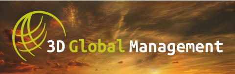 3D Global Management THEME LOGO (Sky)